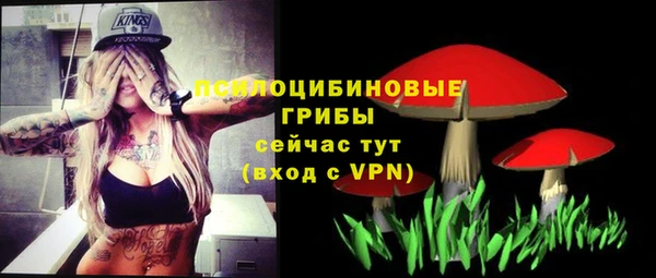 ГАЛЛЮЦИНОГЕННЫЕ ГРИБЫ Навашино