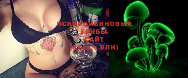 ГАЛЛЮЦИНОГЕННЫЕ ГРИБЫ Навашино