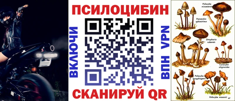 Галлюциногенные грибы Magic Shrooms  Камышин 