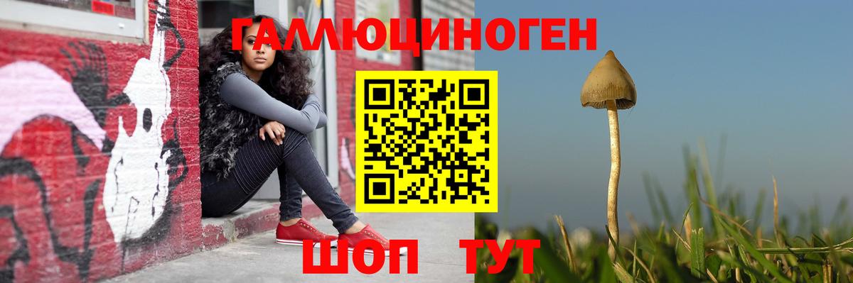 Камышин  где купить наркоту  Вход с VPN  Псилоцибиновые грибы Psilocybe 
